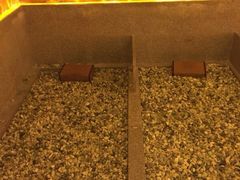 -善水温泉·汗蒸·SPA·生活会馆(桑田路店)