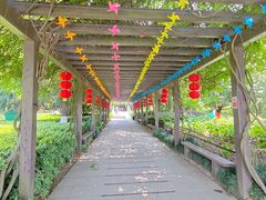 -白马涧龙池景区