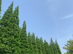 -宜兴龙背山森林公园