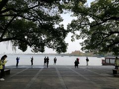 -西湖外事游船(花港观鱼码头)