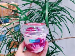 -Blueglass酸奶(财富购物中心店)