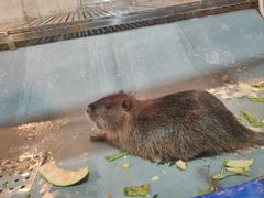 -成都浩海立方海洋公园