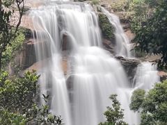 -海南热带雨林国家公园吊罗山景区