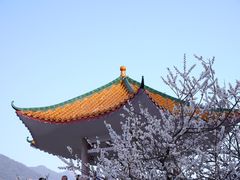 -广州市流溪河国家森林公园