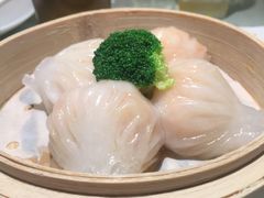 虾饺皇-南枝记