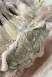 点击看大图 -藤野造型