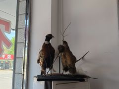 -华龙特色大骨鸡农家菜馆