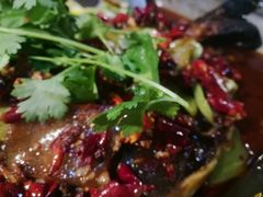 -鱼酷活鱼烤鱼(沈阳大悦城店)