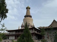 -张掖大佛寺景区