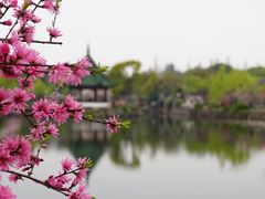 -无锡蠡湖国家湿地公园-蠡园