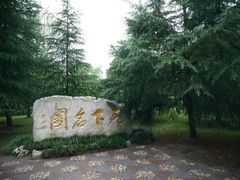 -水绘园