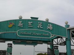 -荷兰花海