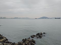 -海鸥岛