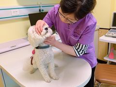 -派联宠物医院·24h·CT·异宠