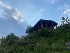 -长虫山生态公园风景林
