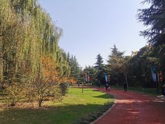 -城市运动公园(未央区)