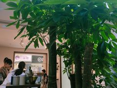 -Line 咖啡(石厦花园店)