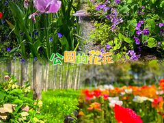 -东平国家森林公园