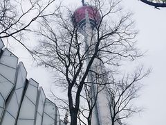 -339旋转餐厅(天府熊猫塔店)