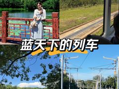 -北坞公园