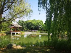 -梁鸿国家湿地公园