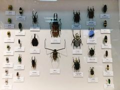 -国家自然博物馆