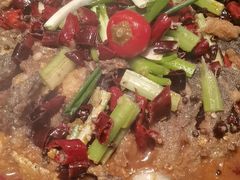 -老板恋上鱼(恒隆广场店)