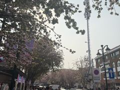 -麦落精酿啤酒餐吧(先农大院店)