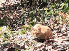 -杭州半山国家森林公园