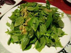 凉拌荆芥-萧记三鲜烩面(郑汴路店)