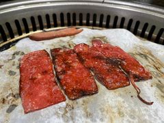 -鹤之乡·齐齐哈尔烤肉·非遗(秋涛路店)