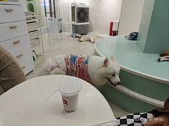 -怪兽屋·羊驼·猫咖·狗咖(俊华广场店)