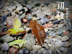 -西岭雪山大飞水景区