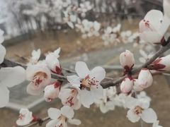 -大班家政月嫂育儿嫂(总部店)