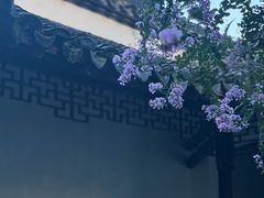 -上海醉白池公园