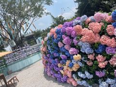 -广州长隆欢乐世界