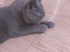 -iF摄影•全家福•证件照•形象照(南山店)