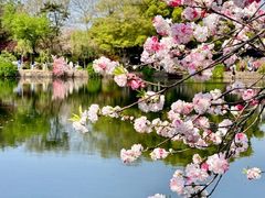 -无锡蠡湖国家湿地公园-蠡园