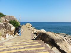 -广东惠东海龟国家级自然保护区