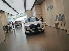 -理想汽车(世纪汇店)