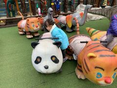 -呀路古热带植物园