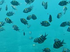 -亚龙湾海底世界