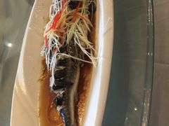 -老幺泉水鸡