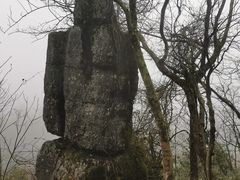-山王坪喀斯特国家生态公园