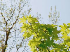 -白河湾生态旅游一条川