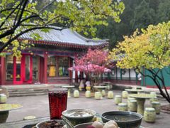 -宫事颐庭·老佛爷贵寿下午茶(颐和园店)