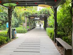 -白马涧龙池景区