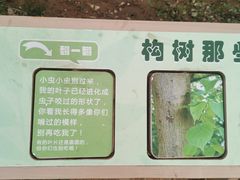 -佛慧山