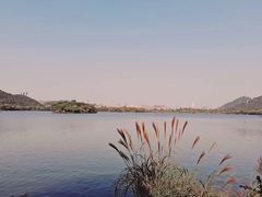 -杭州湾海上花田景区