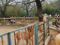 -西安秦岭野生动物园